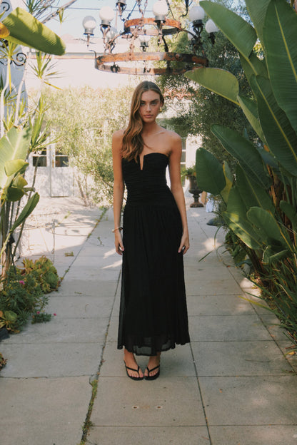Mesh Maxi Dress